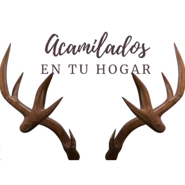 diseño sin título (2)