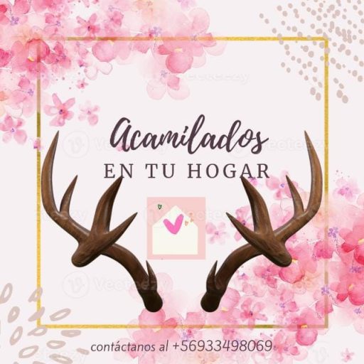 cropped imagen de whatsapp 2025 10 12 a las 01.09.33 c6d8031f.jpg